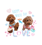 レオ♡ロト♡挨拶＆お散歩＆天気＆季節（個別スタンプ：40）