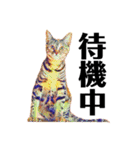 猫のミューズ（個別スタンプ：1）