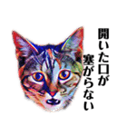 猫のミューズ（個別スタンプ：5）
