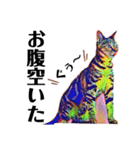 猫のミューズ（個別スタンプ：14）