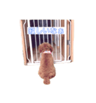 きゃなことこコペコのいる生活（個別スタンプ：6）