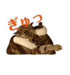 ネコとハッピーライフ（個別スタンプ：9）