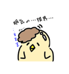 ヅラぴよ（個別スタンプ：1）