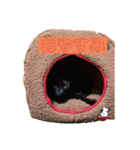 chibameg（個別スタンプ：4）