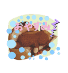 こぐの生活（個別スタンプ：10）