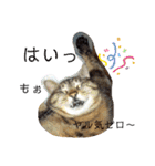 愛しのモンちゃん（個別スタンプ：13）