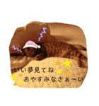愛しのモンちゃん（個別スタンプ：30）