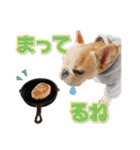 フレンチブルドッグ『たいが君』のスタンプ（個別スタンプ：12）