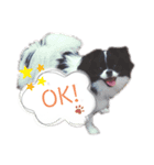 おまめのすたんぷ（個別スタンプ：3）