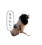 おまめのすたんぷ（個別スタンプ：5）