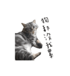 私はポルシェ猫です（個別スタンプ：9）