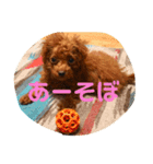 だるワン2（個別スタンプ：7）