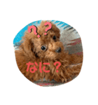 だるワン2（個別スタンプ：8）
