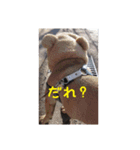 ぶんと友達2（個別スタンプ：1）