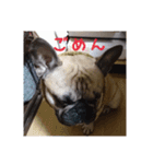 ぶんと友達2（個別スタンプ：5）