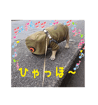 ぶんと友達2（個別スタンプ：7）
