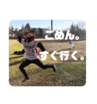 とりま今夜も京王線反省会（個別スタンプ：1）