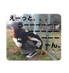 とりま今夜も京王線反省会（個別スタンプ：2）