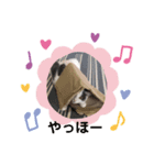 ふじことよしお（個別スタンプ：7）