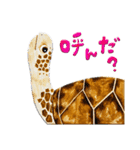 どうぶつたちとあそぼう！（個別スタンプ：3）