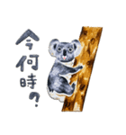 どうぶつたちとあそぼう！（個別スタンプ：13）