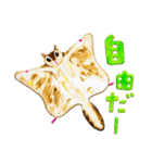 どうぶつたちとあそぼう！（個別スタンプ：39）