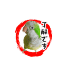 オキナインコ てと part2（個別スタンプ：4）