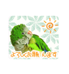 オキナインコ てと part2（個別スタンプ：7）