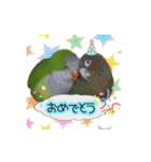 オキナインコ てと part2（個別スタンプ：24）