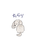 チョコダップルのレオくん（個別スタンプ：30）