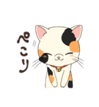 色々使える(かもしれない)スタンプ（個別スタンプ：9）