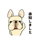 フレンチブルドッグ 「アッサム」（個別スタンプ：15）