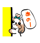 シーズー日常スタンプ(日本語バージョン)（個別スタンプ：11）