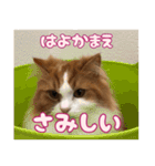 猫のスイさん（個別スタンプ：9）