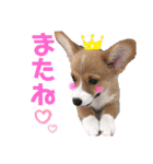 ネルスタンプ2（個別スタンプ：1）