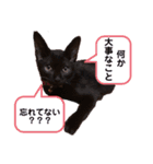＊コアちゅんノアちゅん＊2（個別スタンプ：13）