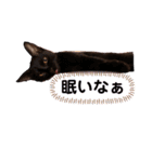 ＊コアちゅんノアちゅん＊2（個別スタンプ：15）