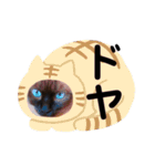 ＊コアちゅんノアちゅん＊2（個別スタンプ：19）