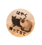 ＊コアちゅんノアちゅん＊2（個別スタンプ：21）