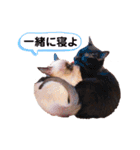 ＊コアちゅんノアちゅん＊2（個別スタンプ：24）
