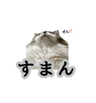 どうも、るーちゃんです（個別スタンプ：3）