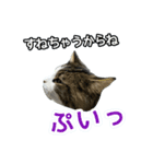 どうも、るーちゃんです（個別スタンプ：8）