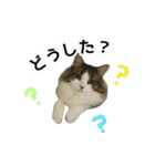 どうも、るーちゃんです（個別スタンプ：10）
