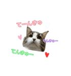 どうも、るーちゃんです（個別スタンプ：15）