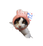 さくらんぼー（個別スタンプ：3）