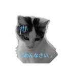さくらんぼー（個別スタンプ：5）
