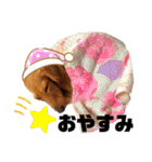 ダックスフンドのミルちゃん♡（個別スタンプ：8）