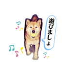 WON WON collection（個別スタンプ：4）