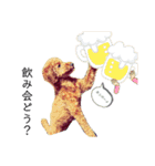 WON WON collection（個別スタンプ：7）