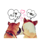 WON WON collection（個別スタンプ：8）